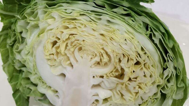 切り口が新鮮なディオのキャベツ
